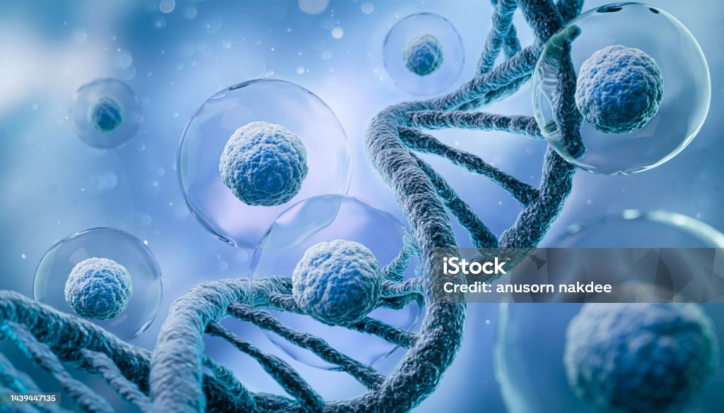 3d rendering of Human cell or Embryonic stem cell microscope background. DNA Stock Photo
