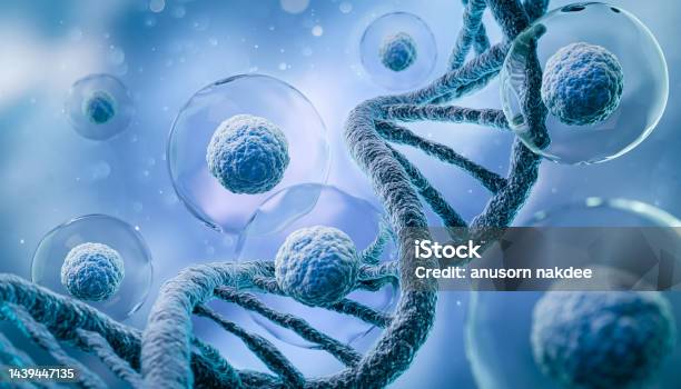 3d Rendering Of Human Cell Or Embryonic Stem Cell Microscope Background Stock Photo - Download Image Now