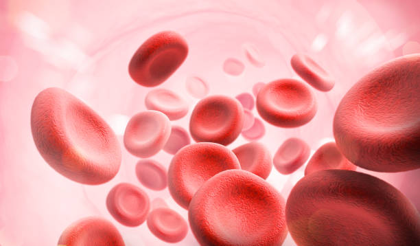 globule rouge dans une artère, flux sanguin, santé humaine médicale concept contexte, rendu 3d. - high scale magnification photos et images de collection