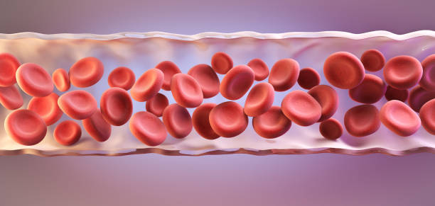 globule rouge dans une artère, flux sanguin, santé humaine médicale concept contexte, rendu 3d. - high scale magnification photos et images de collection