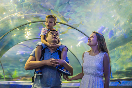 Dad mom and son look at the fish in the aquarium in oceanarium.