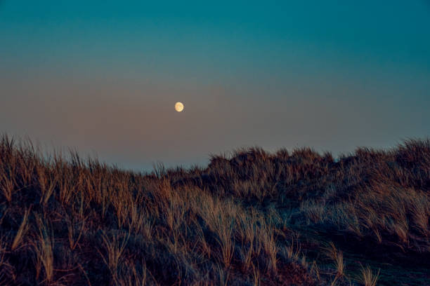 A moon rise over sand dunes in Braunton Burrows, North Devon