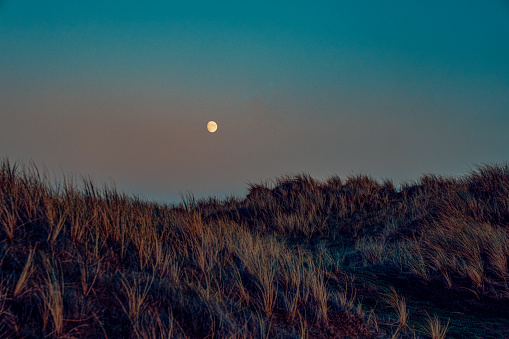 A moon rise over sand dunes in Braunton Burrows, North Devon