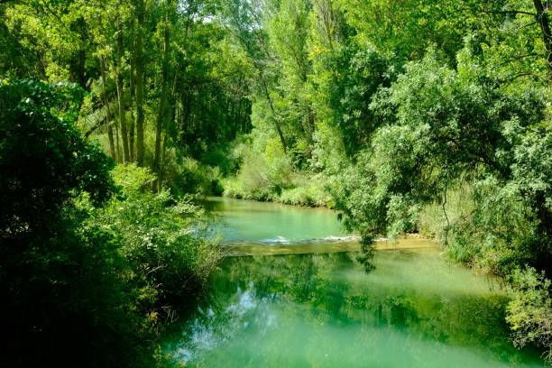 istock Beautiful view of Jucar river flowing through the trees, Spain. 1439451052