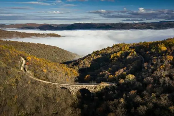 The old bridge that is part of the old Parenzana railroad which nowadays is popular cycling route.