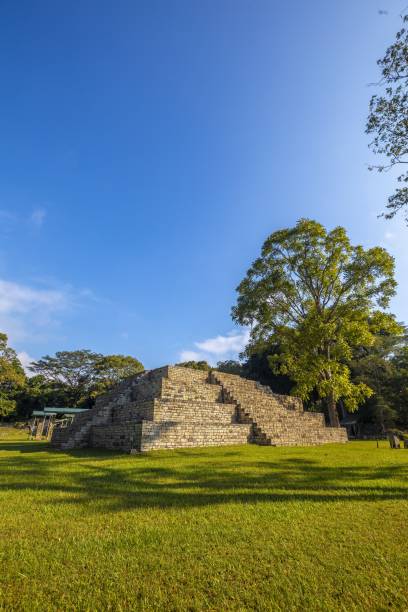 istock Mayan ruins in Copan, Honduras surrounded by trees 1439452895