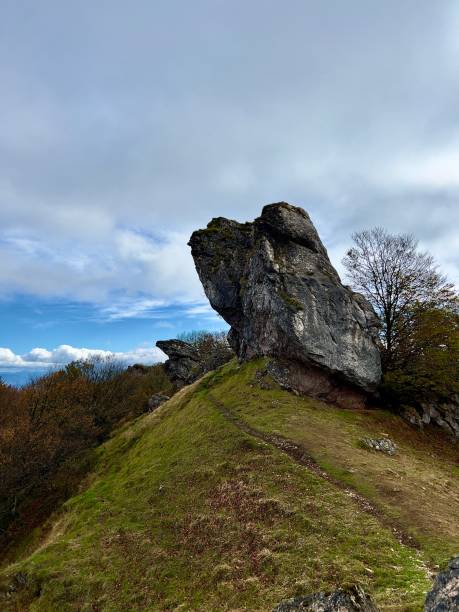 istock Autumn time in Navarra forrest 1439454211