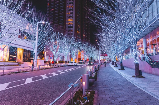 beautiful street lined with lit trees at Roppongi Hills at night