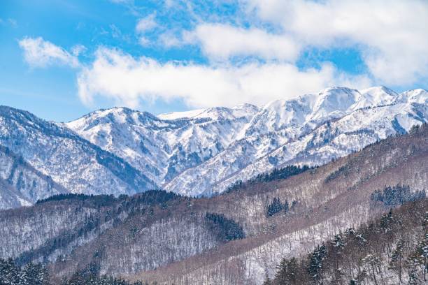 istock Beautiful panoramic view of snow covered mountains with bare trees 1439455150