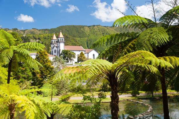Church in the valley A view of a local church through the palm trees in Ponta Delgada, Azores, Portugal sao miguel azores stock pictures, royalty-free photos & images