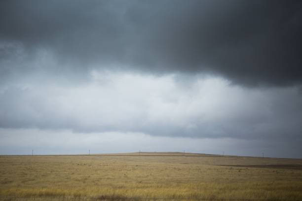 콜로라도, 캔자스, 오클라호마, 미주리의 농장과 들판은 ��회색 하늘과 함께 우울한 날에 - oklahoma agriculture landscape nature 뉴스 사진 이미지
