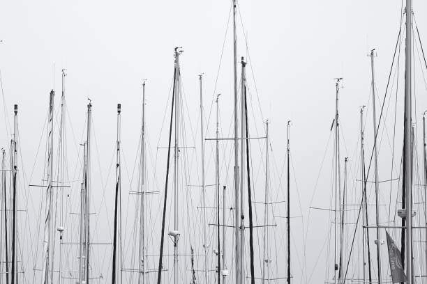istock Grayscale shot of boat masts in Mexico 1439457064