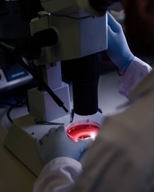 istock Vertical closeup shot of a person studying coronavirus particles with a microscope 1439459705