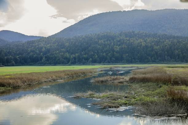 blick auf den cerknica-see, einen von bäumen umgebenen see in slowenien - lake cerknica stock-fotos und bilder