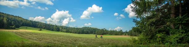 abschüssiges grasfeld, umgeben von bäumen am cerknica-see, einem intermittierenden see in slowenien - lake cerknica stock-fotos und bilder