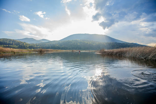 schöner intermittierender see in slowenien: cerknica see - lake cerknica stock-fotos und bilder