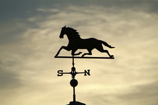 A closeup shot of a horse weather vane set against a sunset sky