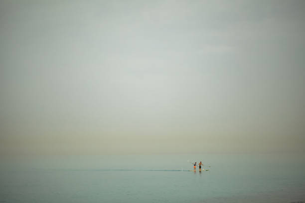 istock sailing on the sea on a SUP board 1439466031