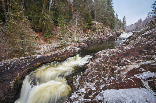Flowing river in wintry forest