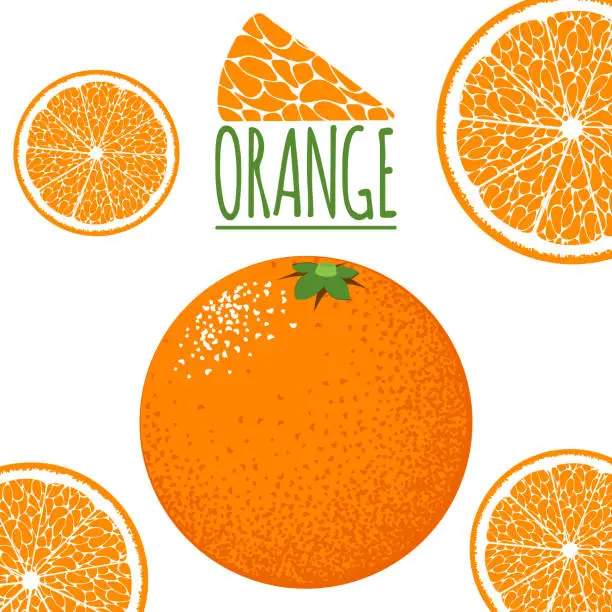 Vector illustration of Orange fruit, eco food background.