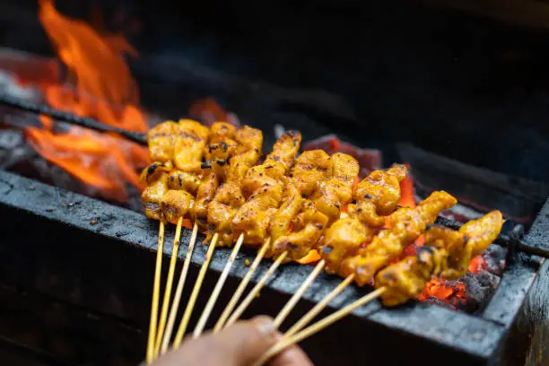 Satay is a Southeast Asian dish of seasoned, skewered and grilled meat, served with a sauce.