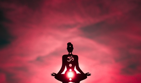 An illustration of a figure showing chakras - the color Pink shows the Root Chakra