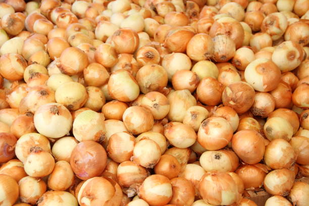 istock onions in the market 1439483926