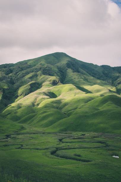 istock Vertical shot of mountains covered in greenery - perfect for mobile 1439484865