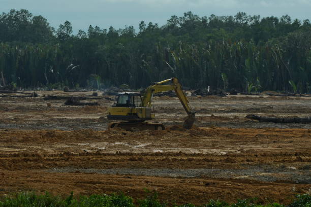 istock Swampland earth filling 1439485099