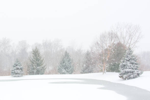 Winter scene-Howard County Indiana