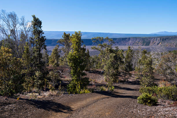 along byron ledge trail overlooking kilauea crater at hawaii volcanoes national park