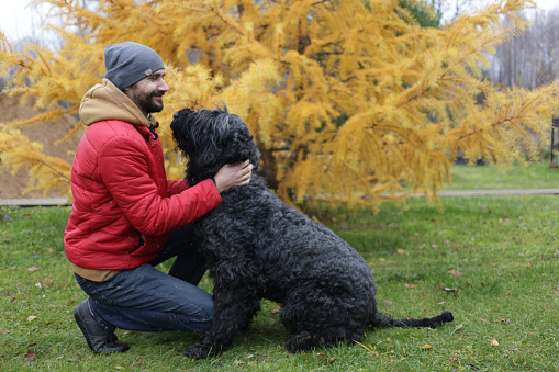 A white man in a red jacket and a gray hat with a beard is sitting on the lawn with his big shaggy dog of the black terrier breed near the house in autumn