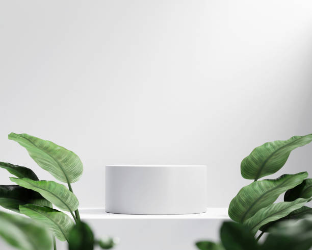 istock 3D rendering platform podium with plant product presentation background 1439491633