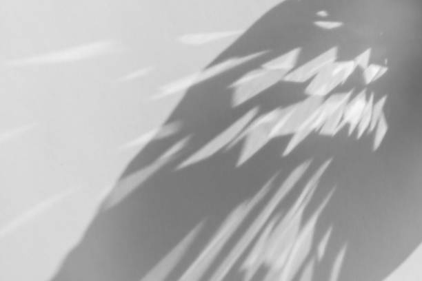istock Shadow and light refraction on white wall overlay photo effect, sun rays refracting through glass and prism, blurred caustic effects. Natural light refraction silhouette on blank surface mockup 1439494803