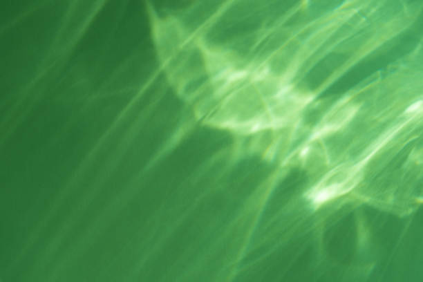 Caustic effect light refraction on green wall overlay photo mockup, blurred sun rays refracting through glass prism with shadow. Abstract natural light refraction silhouette on water surface mock up