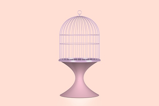 Beautifully decorated birdcage except copy space.