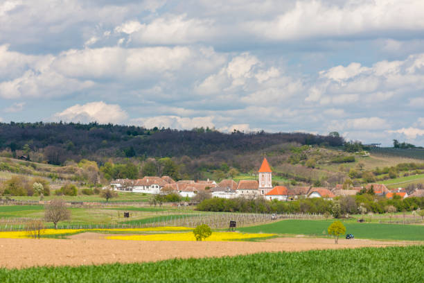 istock spring vineyards near Mitterretzbach in Lower Austria, Austria 1439498351
