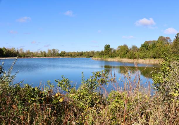 istock Calm Morning Lake View 1439501102