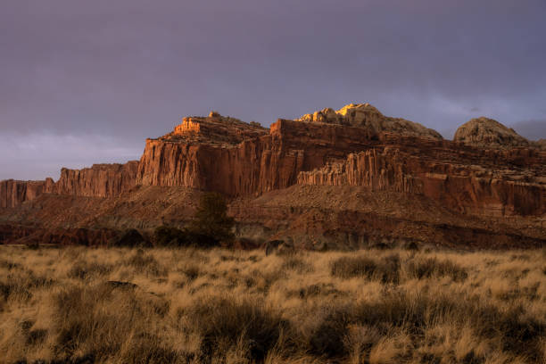 istock Cliffs Above Golden Grasses in Capitol Reef 1439502628