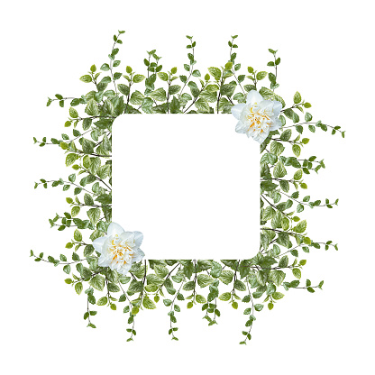 Floral arrangement, green leaves and delicate white rose flower on white background. Wedding design element. Festive flower composition. Postcard design. Green branches border. Frame leaves. Copy space.