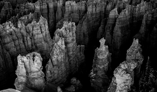 Hoodoos Rising From The Shadows of Bryce Canyon Amphitheater
