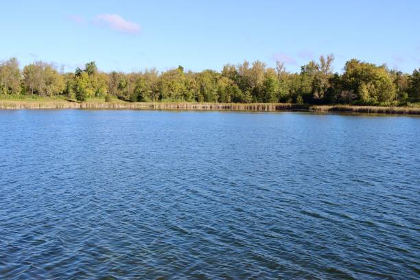 istock Country Lake 1439505820