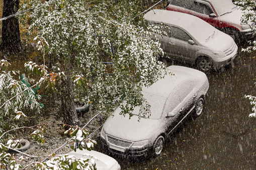 Cars covered with wet snow on a snowy autumn day.