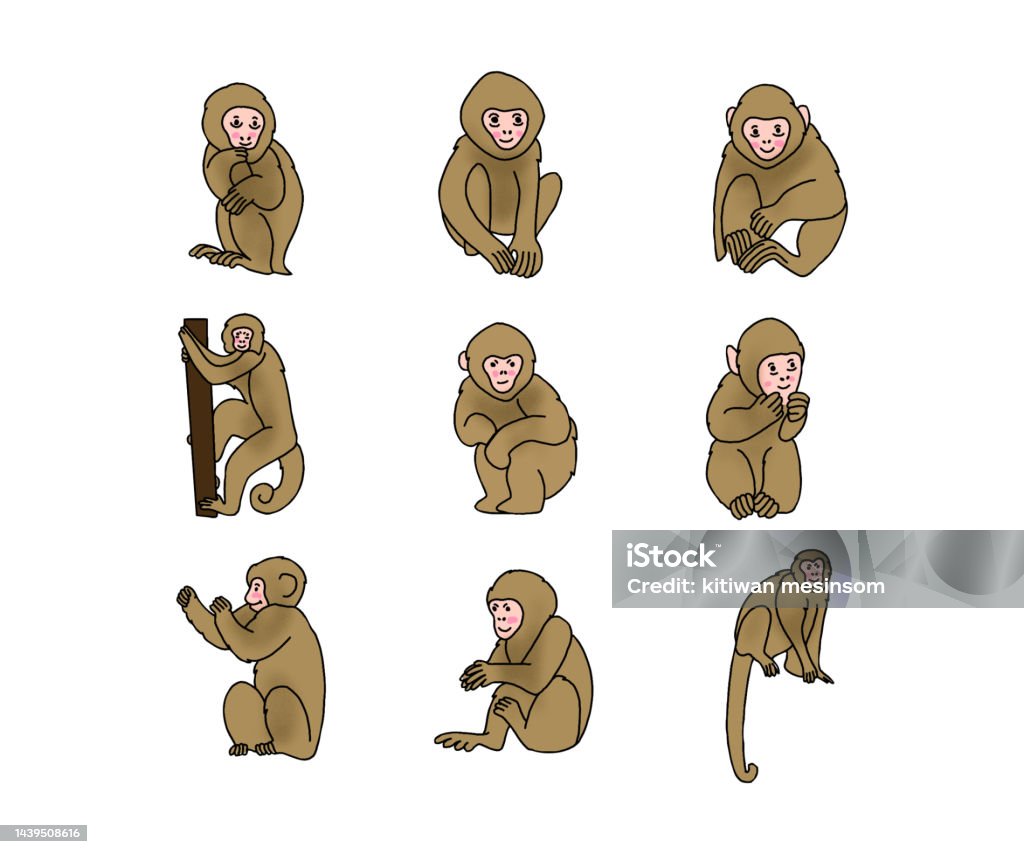 Bộ khỉ hoạt hình vector sẽ đem đến cho bạn những hình ảnh đáng yêu và hài hước của loài khỉ. Với đặc tính linh hoạt và dễ dàng chỉnh sửa của file vector, bạn có thể tùy ý áp dụng vào các mục đích sáng tạo của mình.