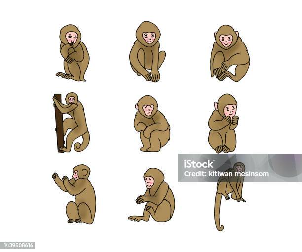 Vector con khỉ là một trong những kiểu vẽ phổ biến hiện nay. Với sự phát triển của công nghệ, bạn có thể sử dụng các phần mềm thiết kế đồ họa để vẽ vector con khỉ đẹp và ấn tượng. Hãy xem hình vẽ này để khám phá thêm về vector con khỉ.