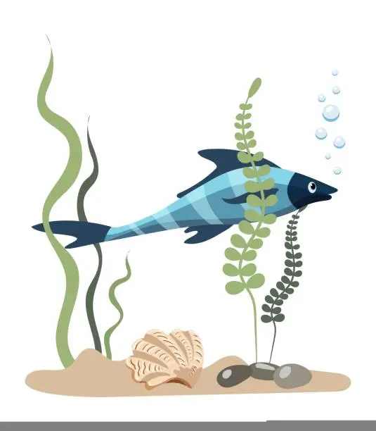 Vector illustration of Single aquarium blue striped tropical fish with seaweed and stones, isolated on white background