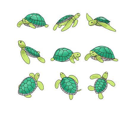 Vector pattern of hand drawn flat green sea turtle in different pose, swimming, having Fun, being naughty. Set of turtle in cartoon style. Cute aquatic animals or pets. stretching isolated on white background. Nature, reptile, animals, mascot concept.