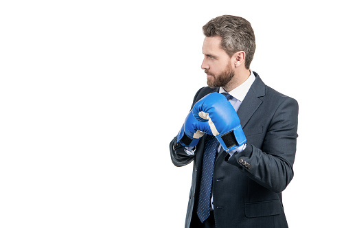 Serious professional man in boxing gloves and suit stand in fighting position isolated on white copy space, fight.