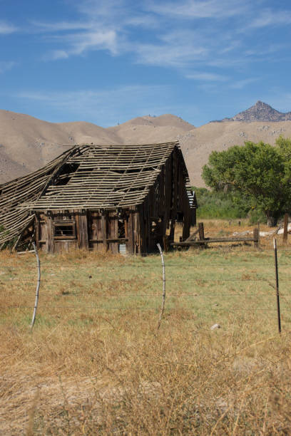 istock Open field with wood barn with caved in roof 1439516351