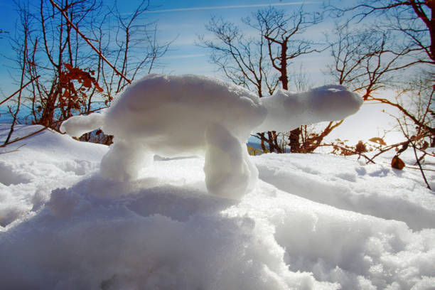 figures are made of snow glued to any surface